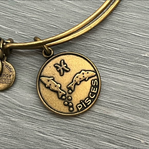 Alex and Ani Pisces Gold Bangle Bracelet,  Zodiac Astrological Sign, 2013 - Picture 5 of 5